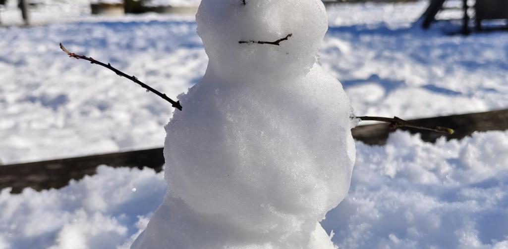 Schneemann 001 Schneemann